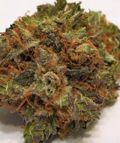 Trainwreck Strain